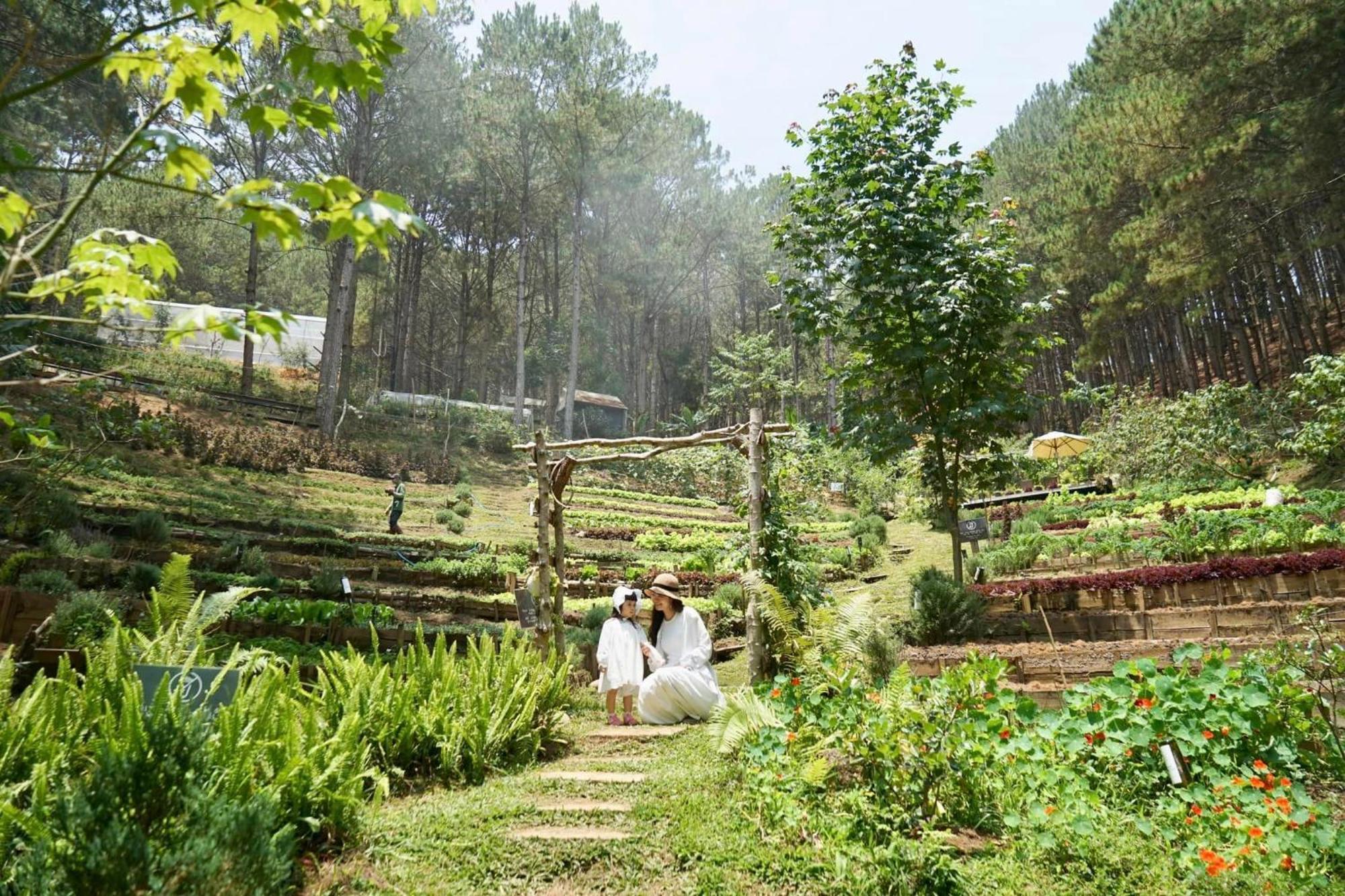 Mo Stay - Forest Resort Dalat Exterior foto